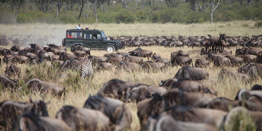  Die-Migration-von-einem-Safari-Auto
