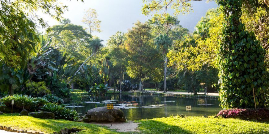 Botanischer Garten