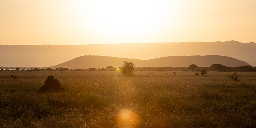 Sonnenuntergang im Tarangire-Nationalpark in Tansania