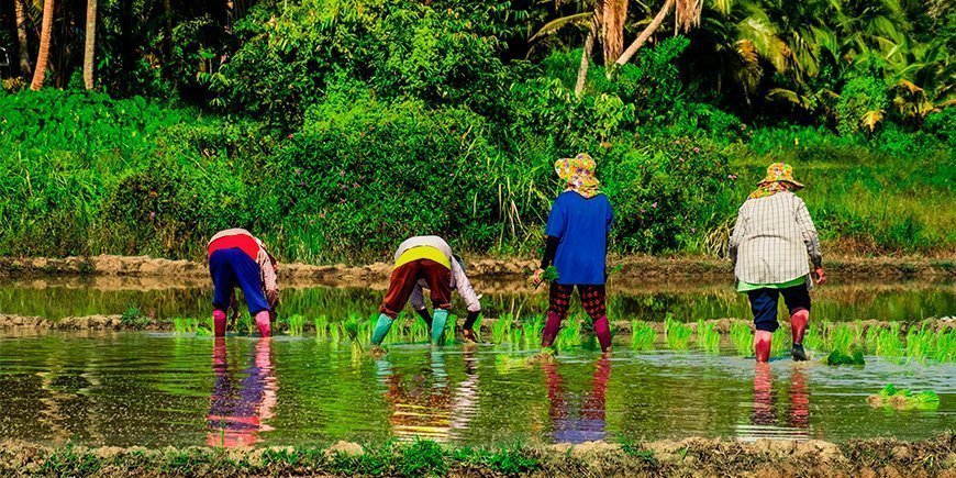 Einheimische Bauern auf Koh Yao Yai