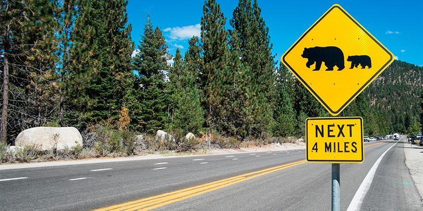 Schild an der Straße, das vor Bären auf der Straße warnt