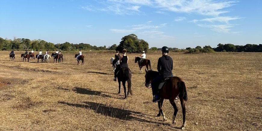 Reiten im Pantanal in Brasilien