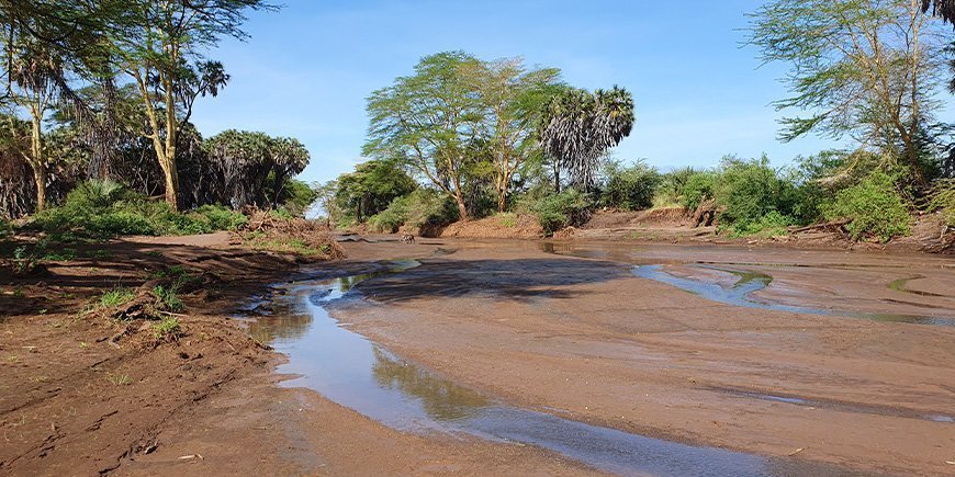 Tsavo West im März