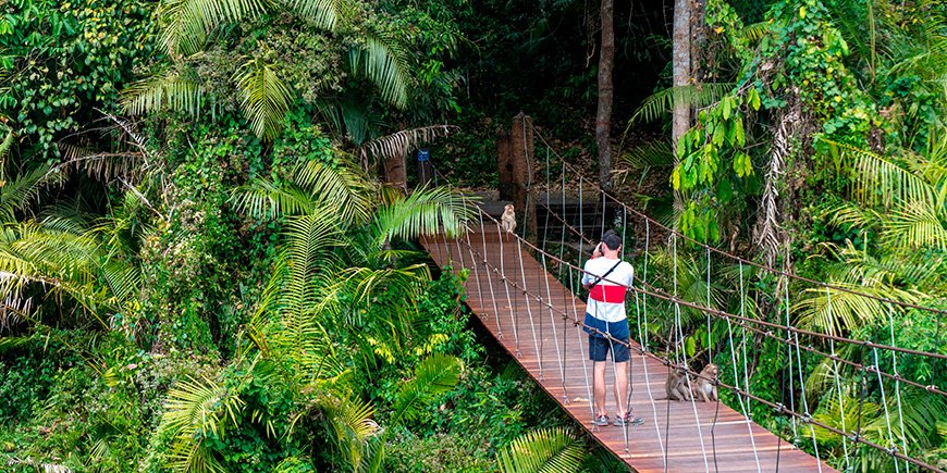 Mann auf einer Brücke im Khao Yai National Park