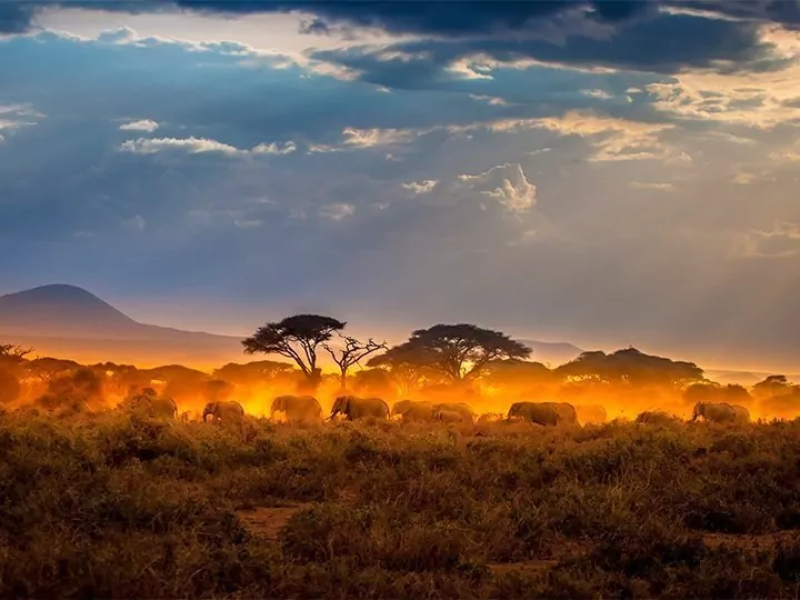 Karibu Kenia & Badeurlaub in Mombasa