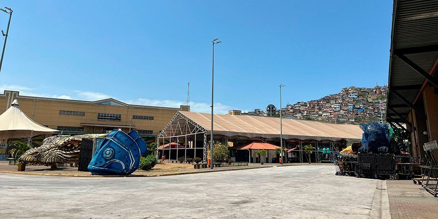 Ein Blick hinter die Kulissen des Karnevals in Rio