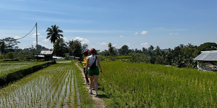 Wandern in Reisfeldern auf Bali