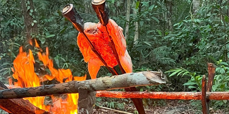 Brathähnchen über dem Feuer