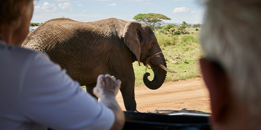 Elefant aus dem Auto auf Safari in Tansania