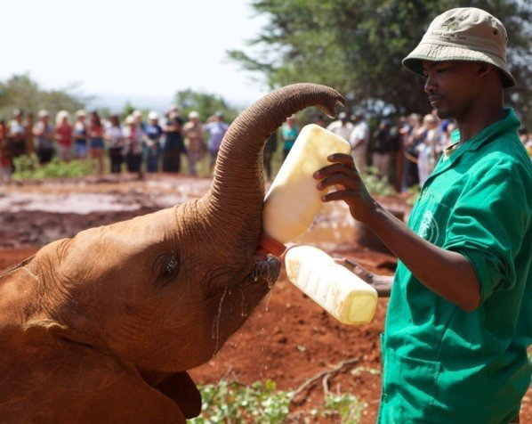 Kenia Safari Und Badeurlaub Auf Sansibar - Ihre Traumreise Hier Finden